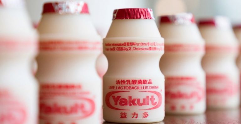 10 Manfaat Yakult  Atasi Maag Kolesterol Lemak Sakit Kronis