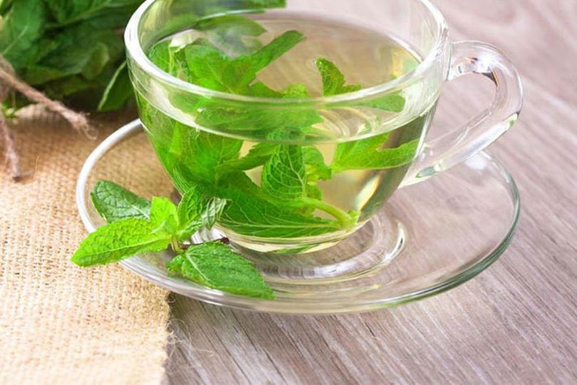 daun mint obat herbal